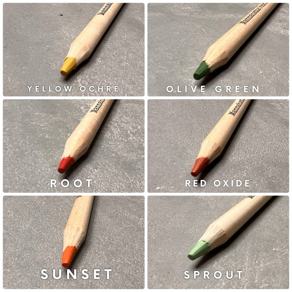 12 Pack of Assorted Color Pencil Brushes