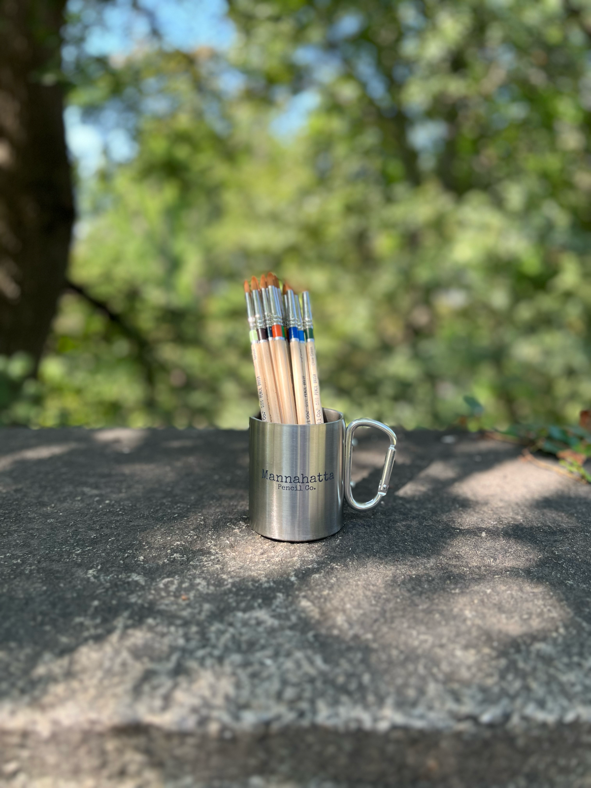 12 Pack of Assorted Color Pencil Brushes