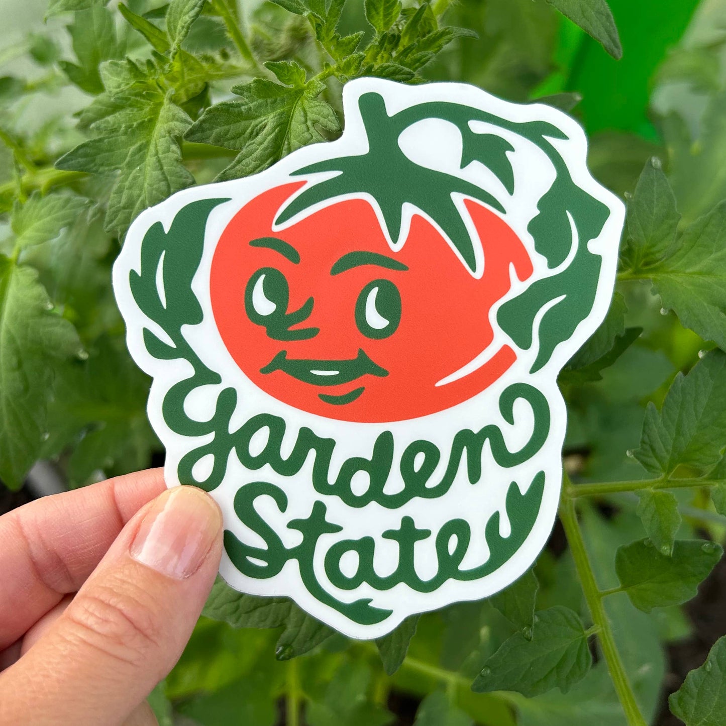 New Jersey Garden State Tomato Bumper Sticker / Vinyl Decal